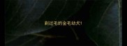 剃过毛的金毛幼犬