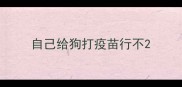 自己给狗打疫苗行不