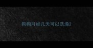 狗狗月经几天可以洗澡