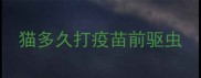 猫多久打疫苗前驱虫