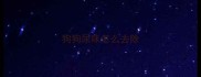 狗狗尿味怎么去除