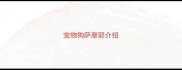 宠物狗萨摩耶介绍