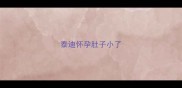 泰迪怀孕肚子小了
