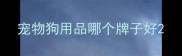 宠物狗用品哪个牌子好