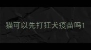 猫可以先打狂犬疫苗吗