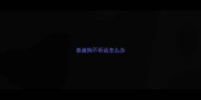 泰迪狗不听话怎么办