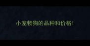 小宠物狗的品种和价格