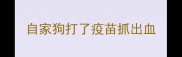 自家狗打了疫苗抓出血