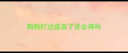 狗狗打过疫苗了还会得吗