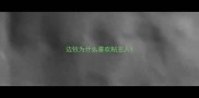边牧为什么喜欢粘主人