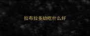 拉布拉多幼吃什么好