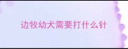 边牧幼犬需要打什么针