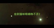 捡到猫咪眼睛睁不开