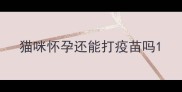 猫咪怀孕还能打疫苗吗