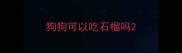 狗狗可以吃石榴吗