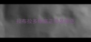 拉布拉多眼底正常是啥色