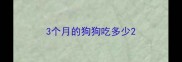 3个月的狗狗吃多少