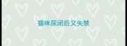 猫咪尿闭后又失禁