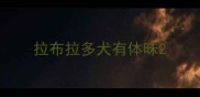 拉布拉多犬有体昧