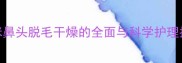 猫咪鼻头脱毛干燥的全面与科学护理指南
