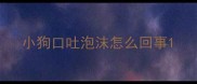 小狗口吐泡沫怎么回事
