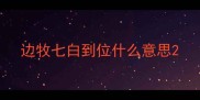 边牧七白到位什么意思