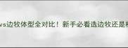 柯基犬vs边牧体型全对比新手必看选边牧还是柯基攻略