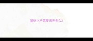 猫咪小产需要调养多久