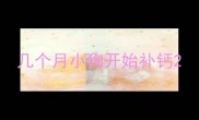 几个月小狗开始补钙