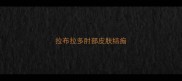 拉布拉多肘部皮肤结痂