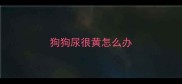 狗狗尿很黄怎么办