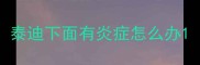 泰迪下面有炎症怎么办