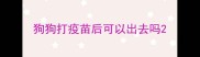 狗狗打疫苗后可以出去吗