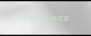 小猫打了一年疫苗