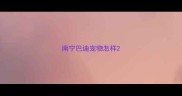 南宁巴迪宠物怎样