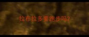 拉布拉多要跑步吗