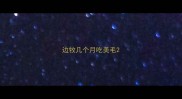 边牧几个月吃美毛