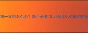 狗狗一直叫怎么办新手必看10大原因及科学应对指南