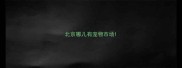 北京哪儿有宠物市场