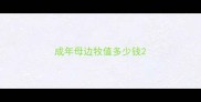成年母边牧值多少钱