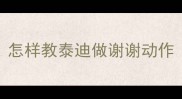 怎样教泰迪做谢谢动作