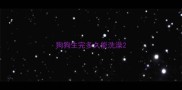 狗狗生完多久能洗澡