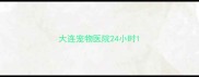 大连宠物医院24小时