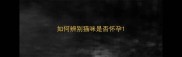如何辨别猫咪是否怀孕