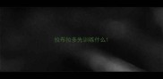 拉布拉多先训练什么