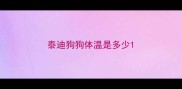 泰迪狗狗体温是多少