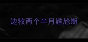 边牧两个半月尴尬期