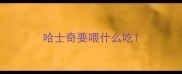 哈士奇要喂什么吃