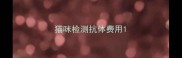 猫咪检测抗体费用