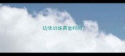 边牧训练黄金时间